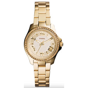 Uhrenarmband Fossil AM4577 Rostfreier Stahl Vergoldet 14mm